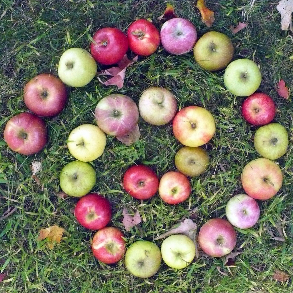 Les pommes ont des millions de bactéries, bio ou pas - Sciences et Avenir