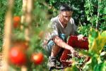 Le guide de la permaculture au jardin de Carine Mayo, éditions Terre Vivante