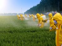 Pesticides et Biodiversité