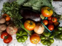 panier de légumes claude aubert expression d'intérêt collectif