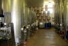 vinification fermentation
