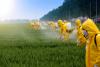 Pesticides et Biodiversité