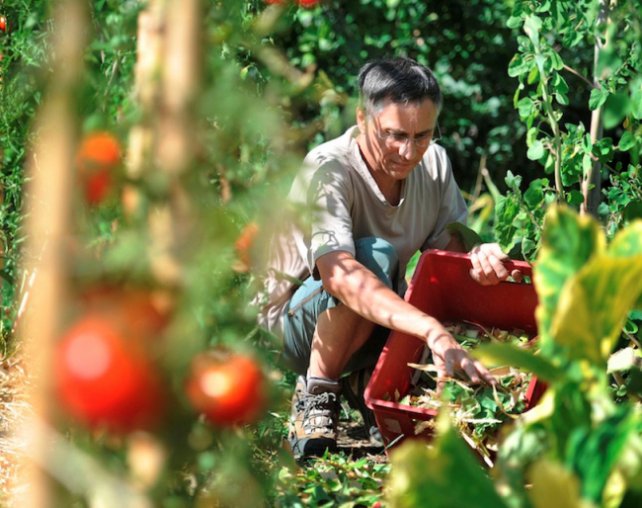 Le guide de la permaculture au jardin de Carine Mayo, éditions Terre Vivante